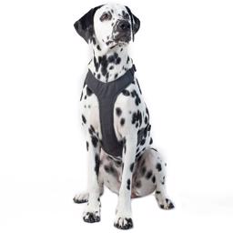 Paikka Visibility Reflex Dog Sele For Dogs Dark
